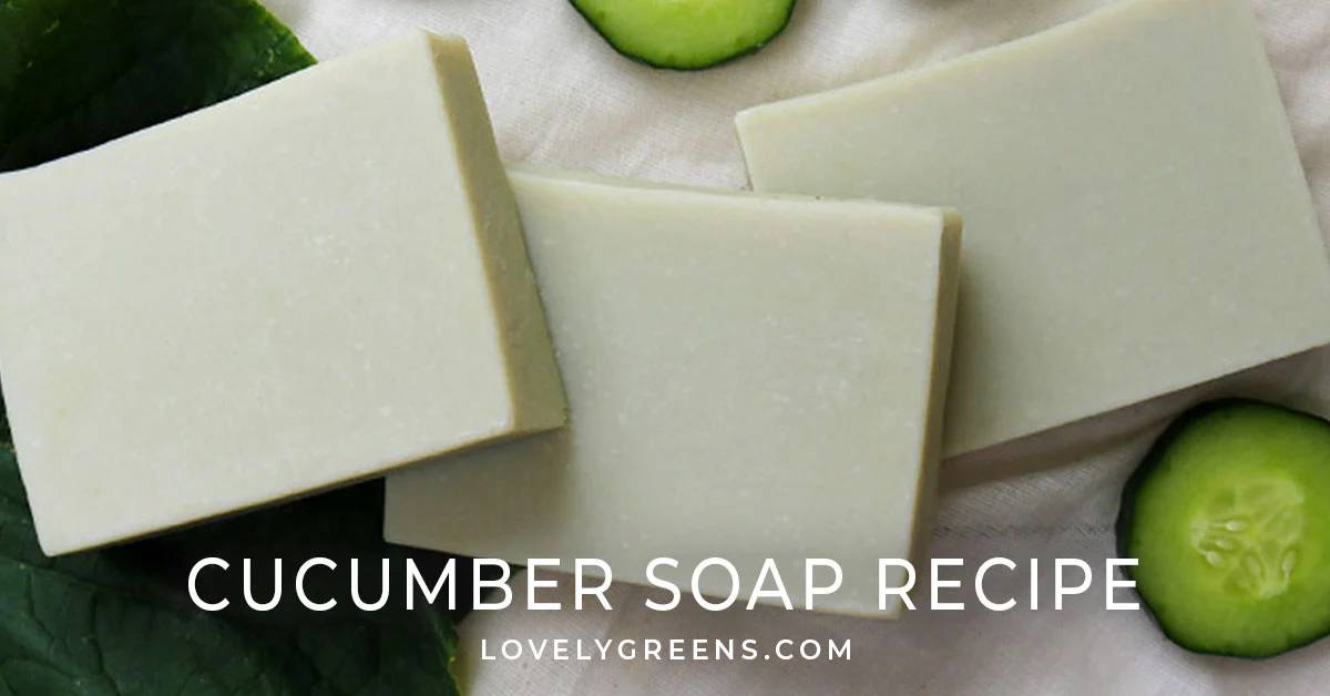 29 Mint Soap Recipes Image