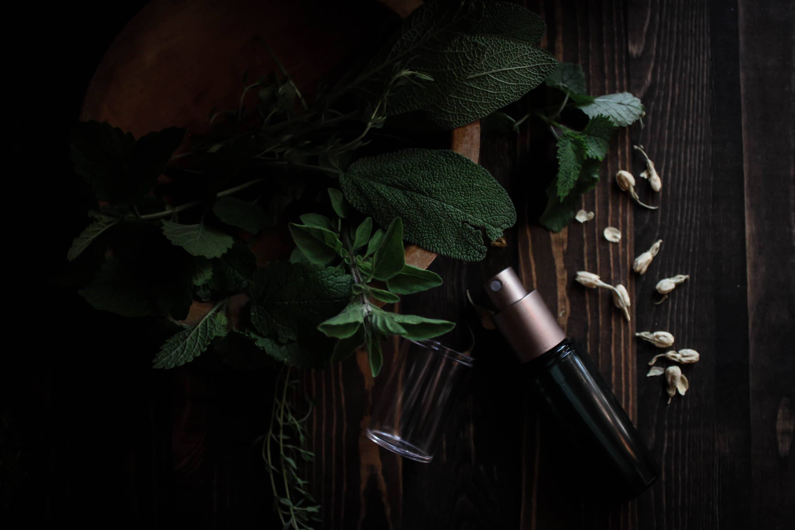 20 Lemon Balm Bug Repellent Recipes Image