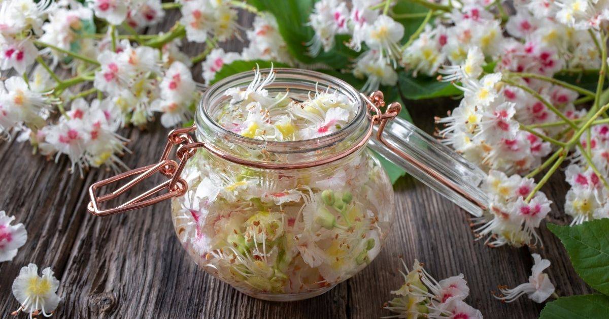 30 Tincture Recipes Image