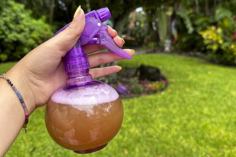 28 DIY Bug Repellent Recipes Image