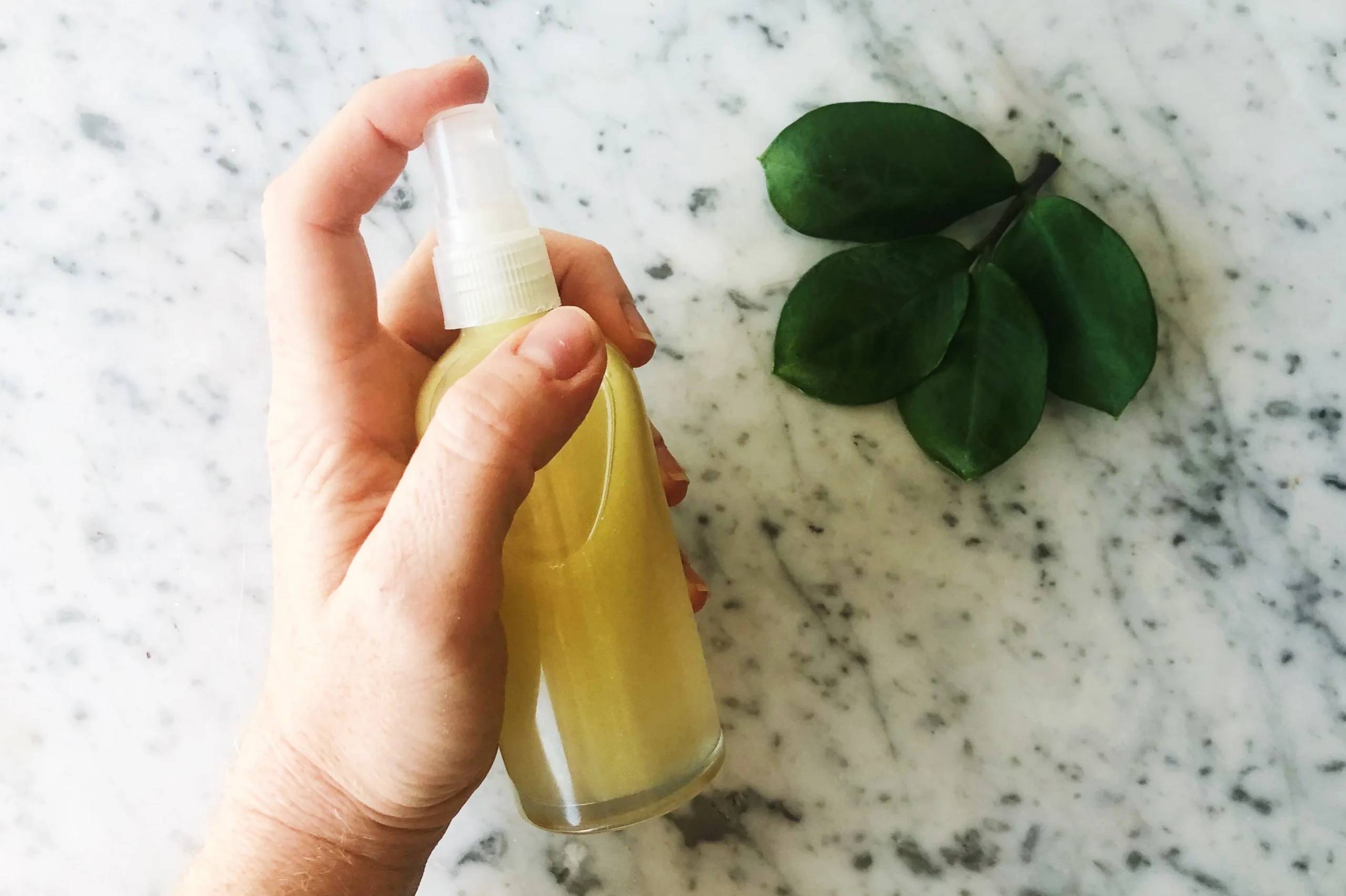 20 Lemon Balm Bug Repellent Recipes Image