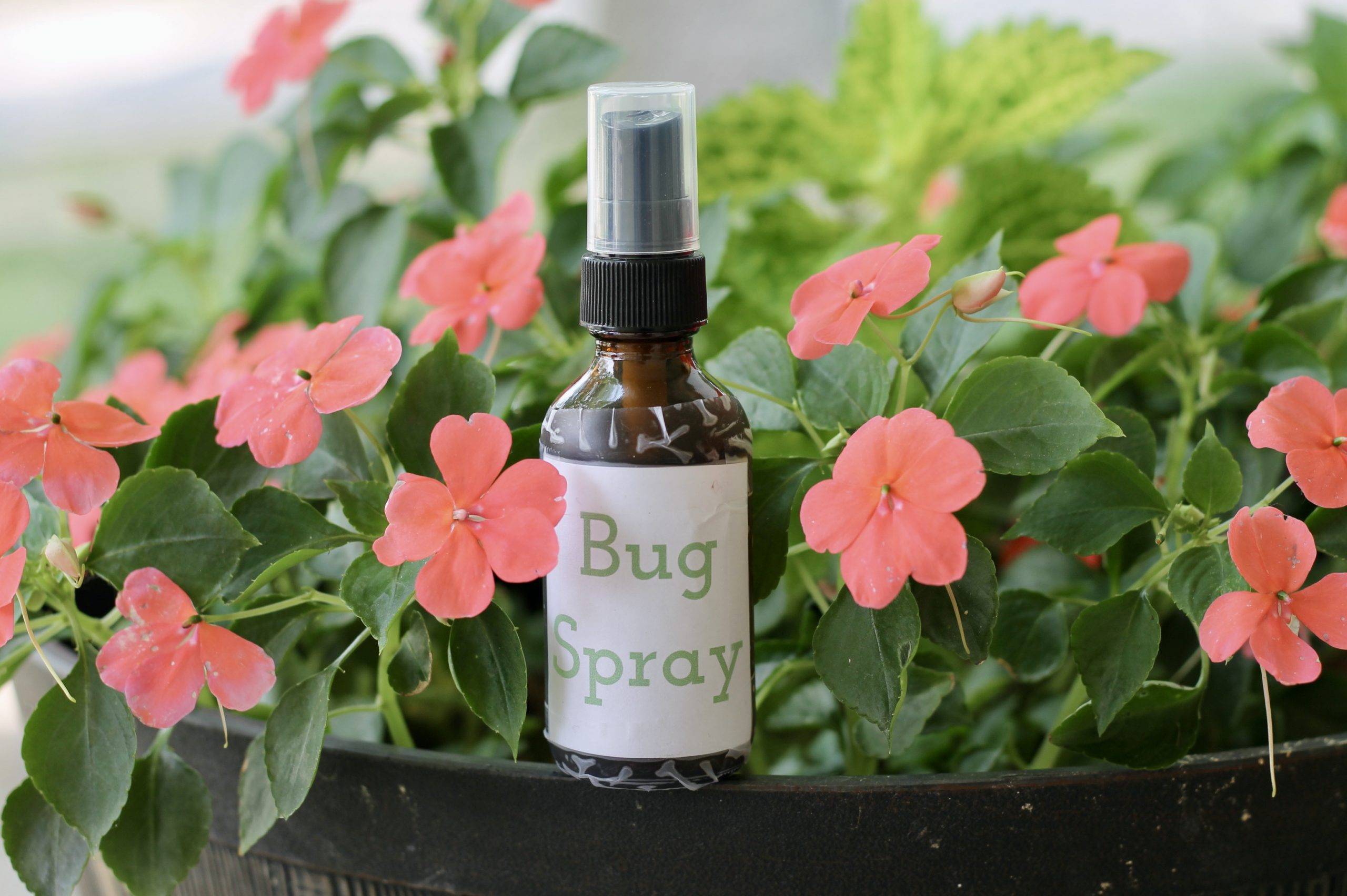 28 DIY Bug Repellent Recipes Image