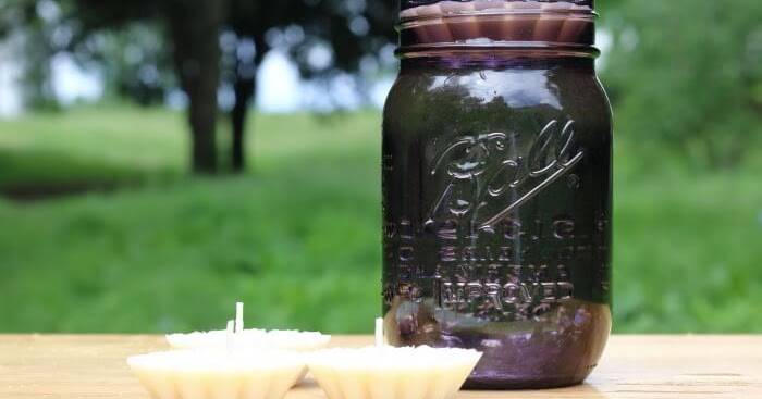 29 Insect Repellent Candles Recipes Image