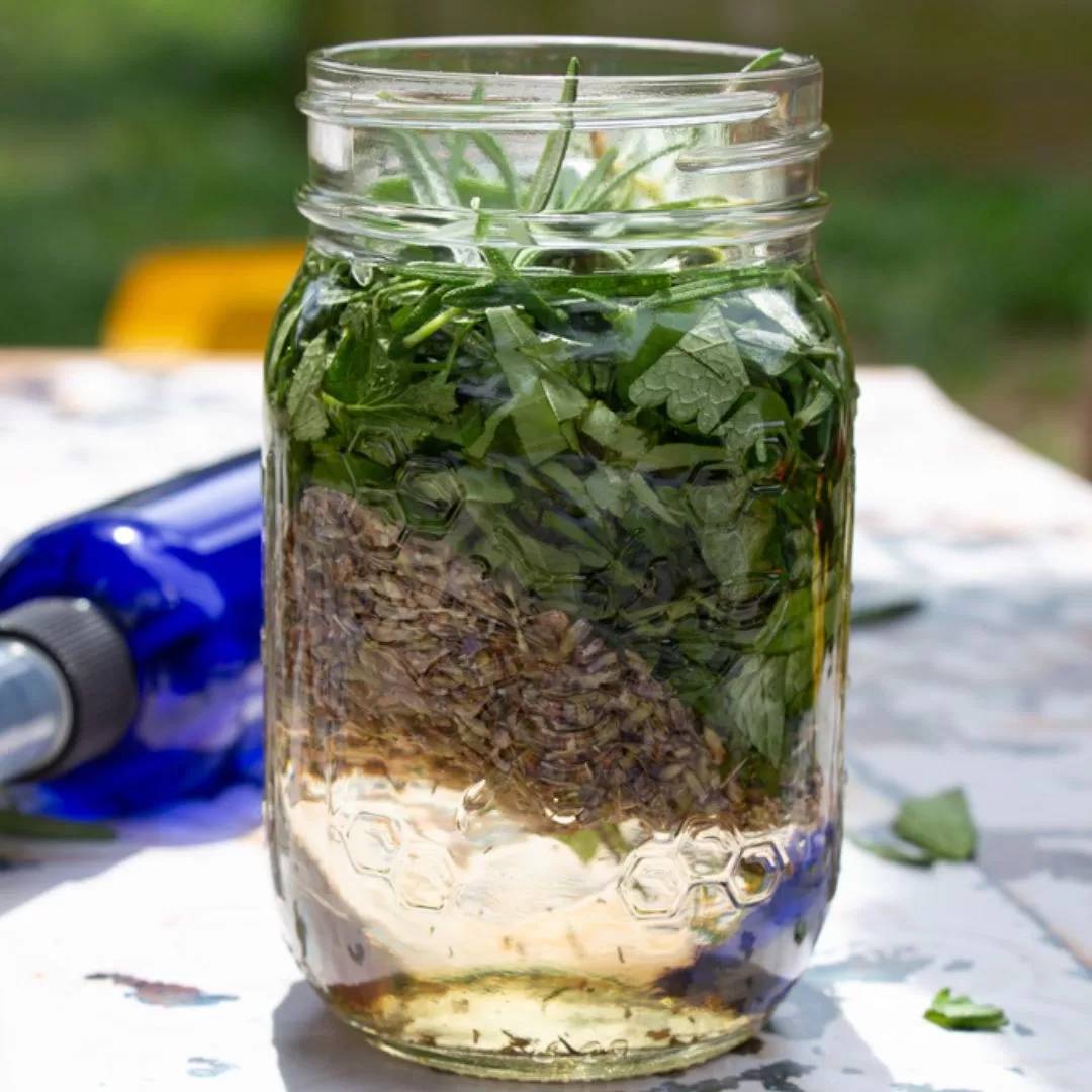 28 DIY Bug Repellent Recipes Image