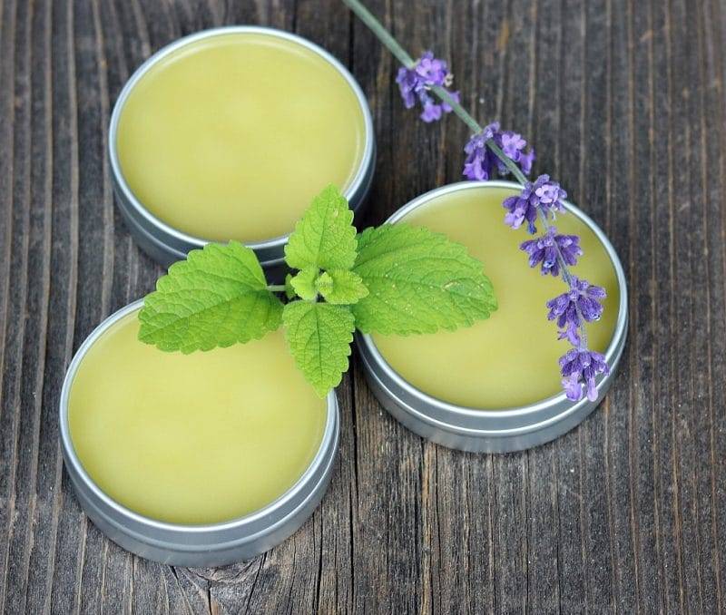 20 Lemon Balm Bug Repellent Recipes Image