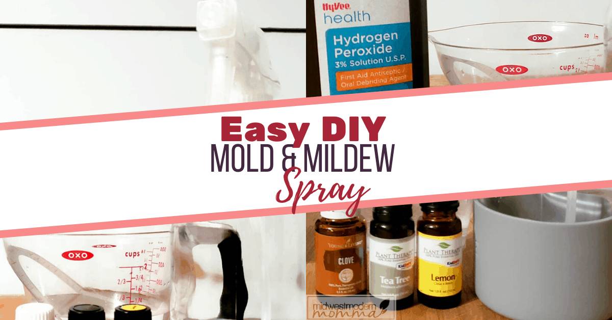 13 Mold Spray Recipes Image