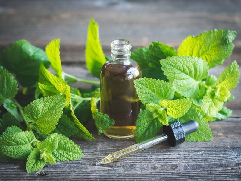 30 Tincture Recipes Image