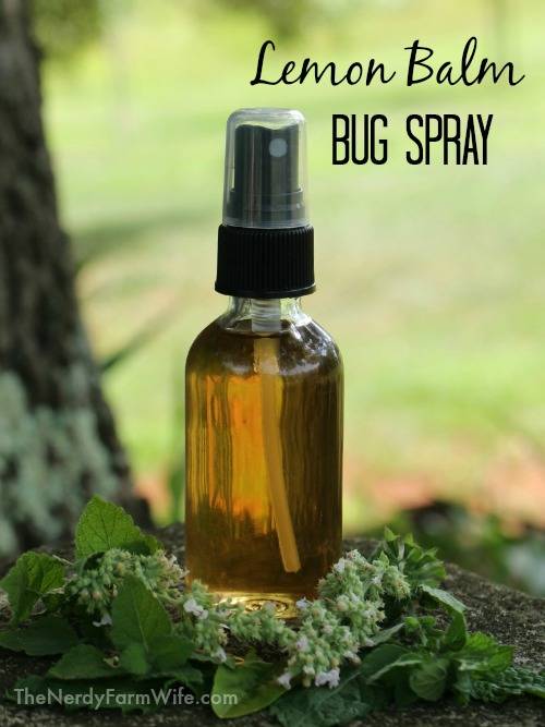 20 Lemon Balm Bug Repellent Recipes Image