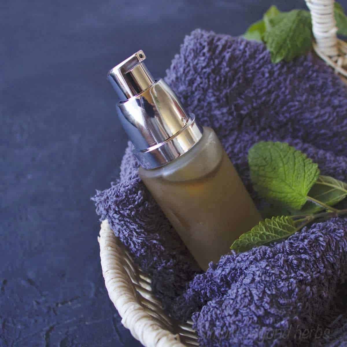 20 Lemon Balm Bug Repellent Recipes Image