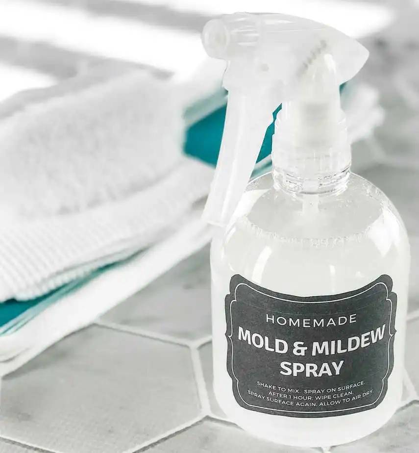 13 Mold Spray Recipes Image