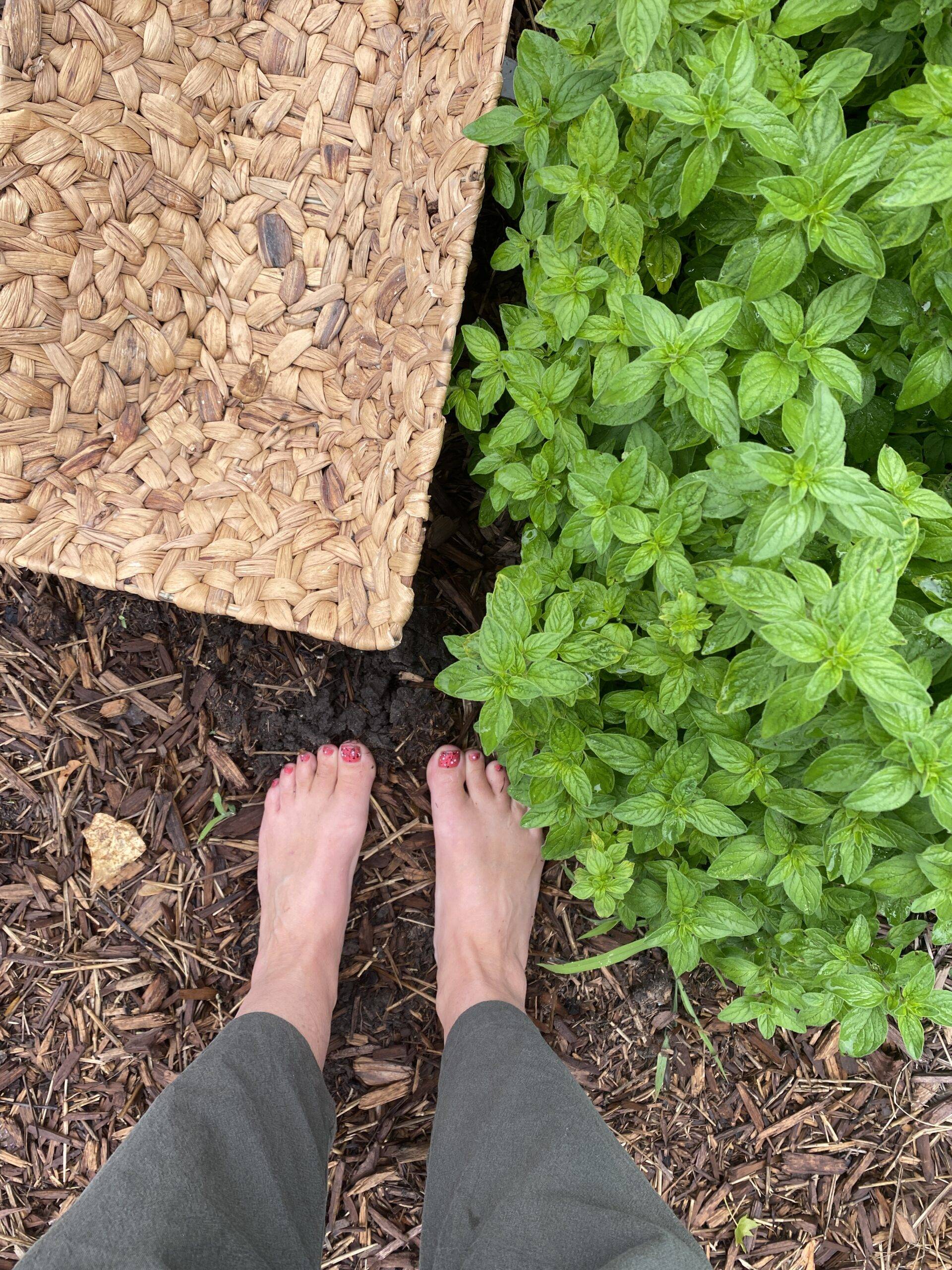 30 Tincture Recipes Image