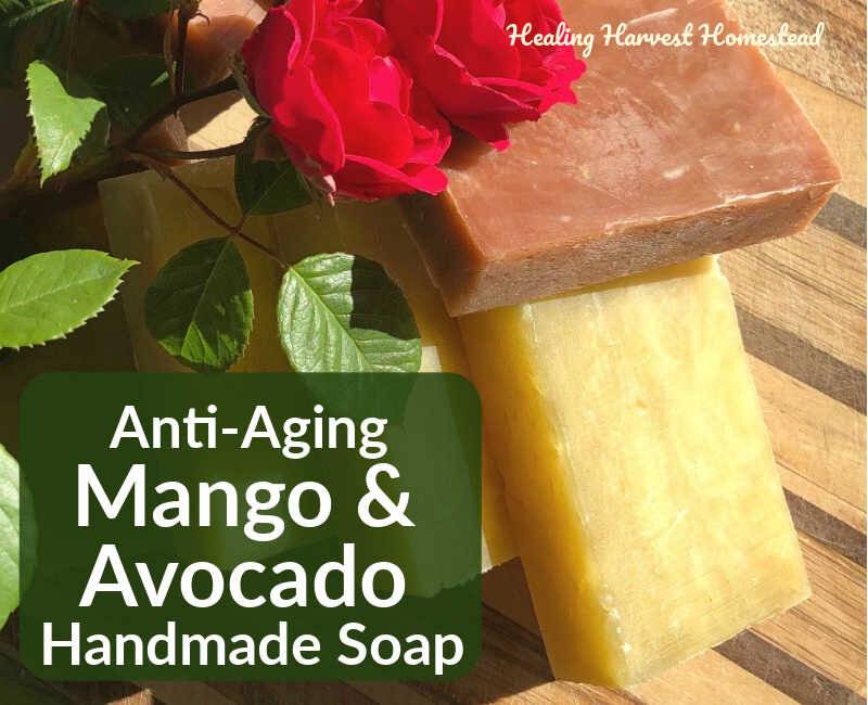 14 Avocado Oil Soap Recipes Image