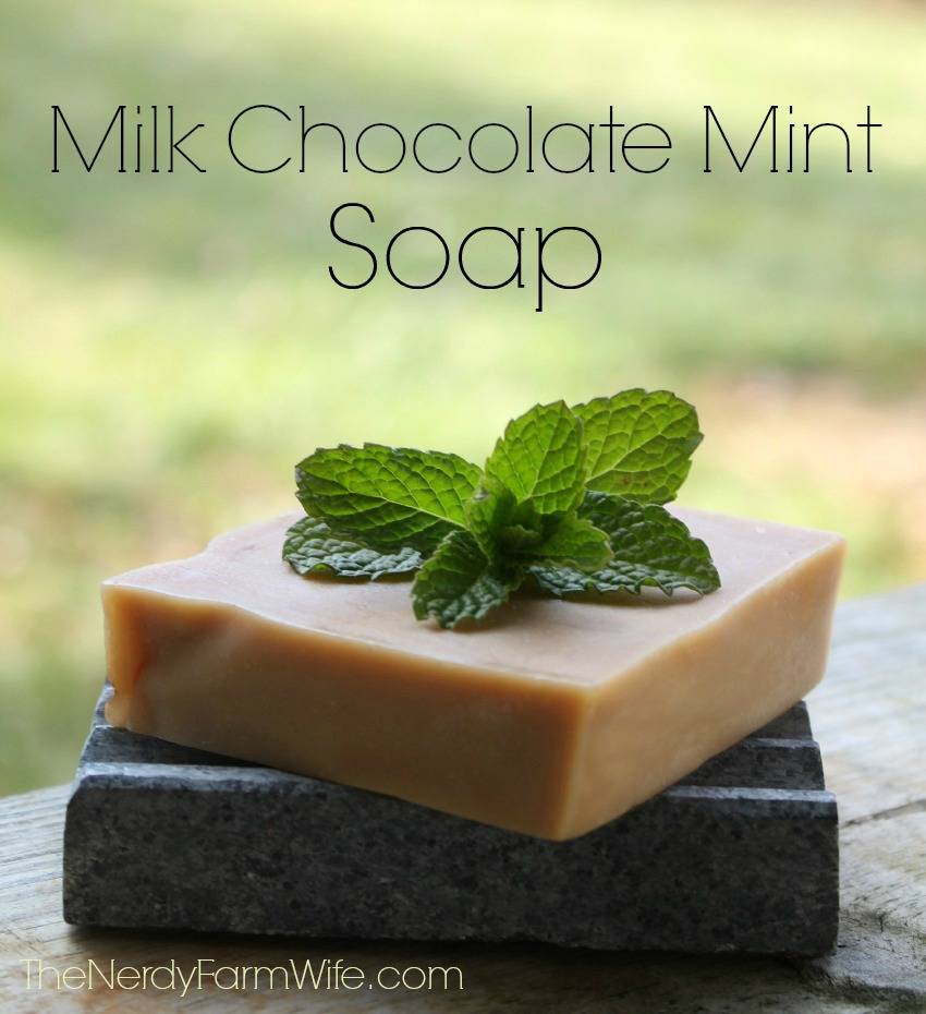 29 Mint Soap Recipes Image
