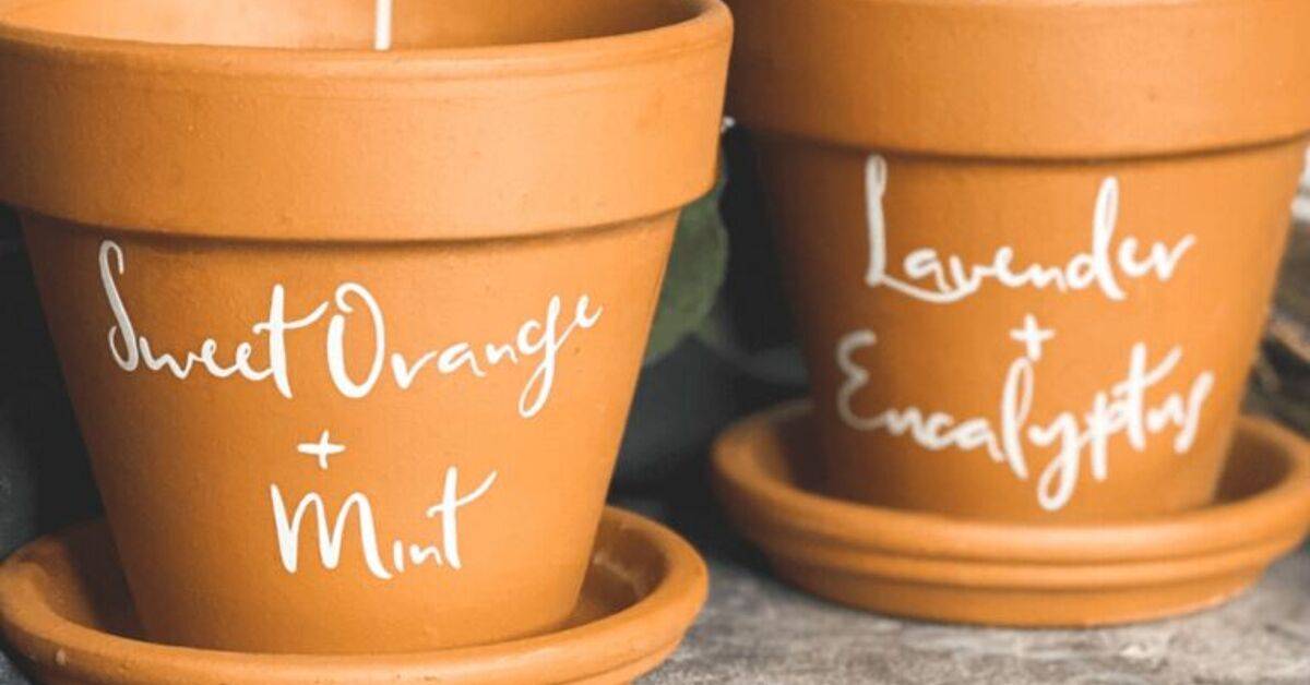 29 Insect Repellent Candles Recipes Image