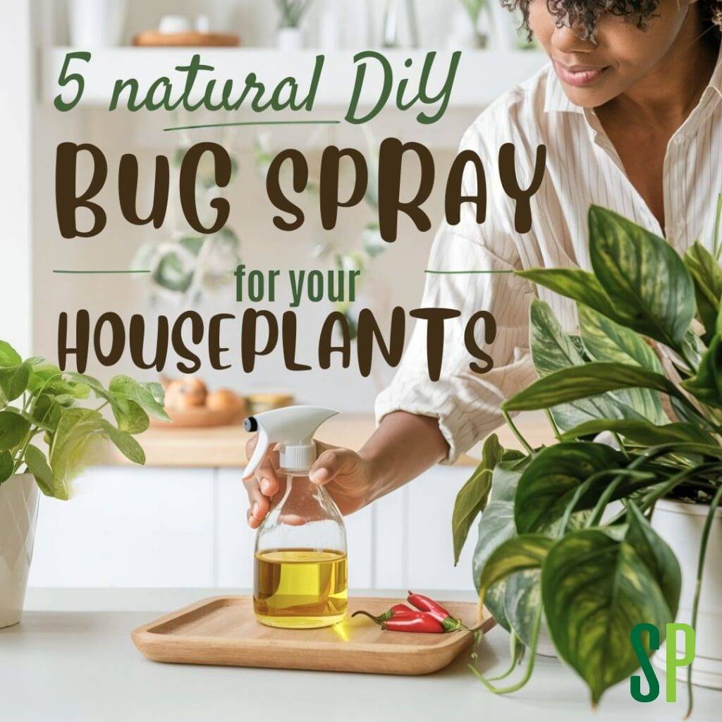 28 DIY Bug Repellent Recipes Image