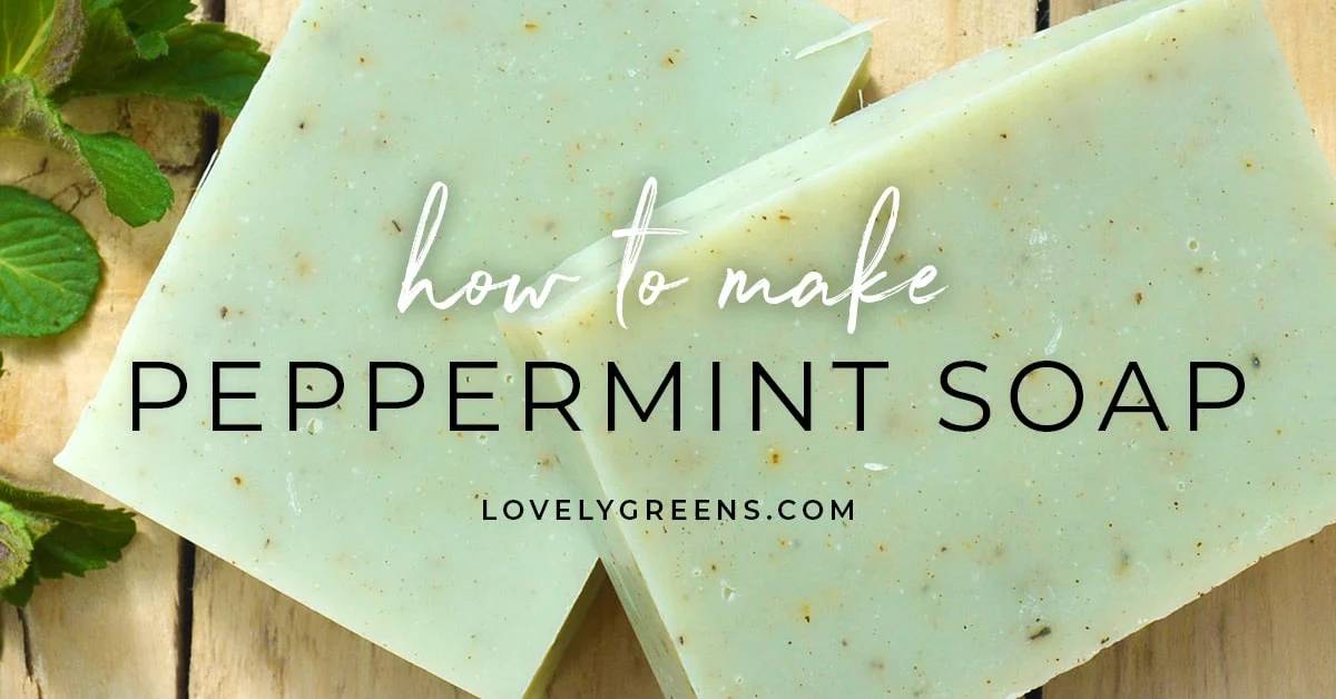 29 Mint Soap Recipes Image