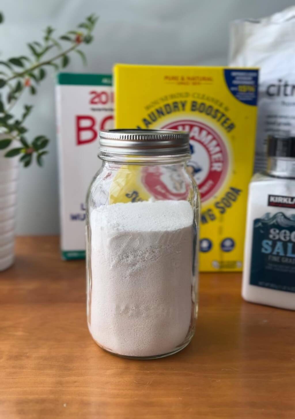 19 DIY Dishwasher Detergent Pods  Image