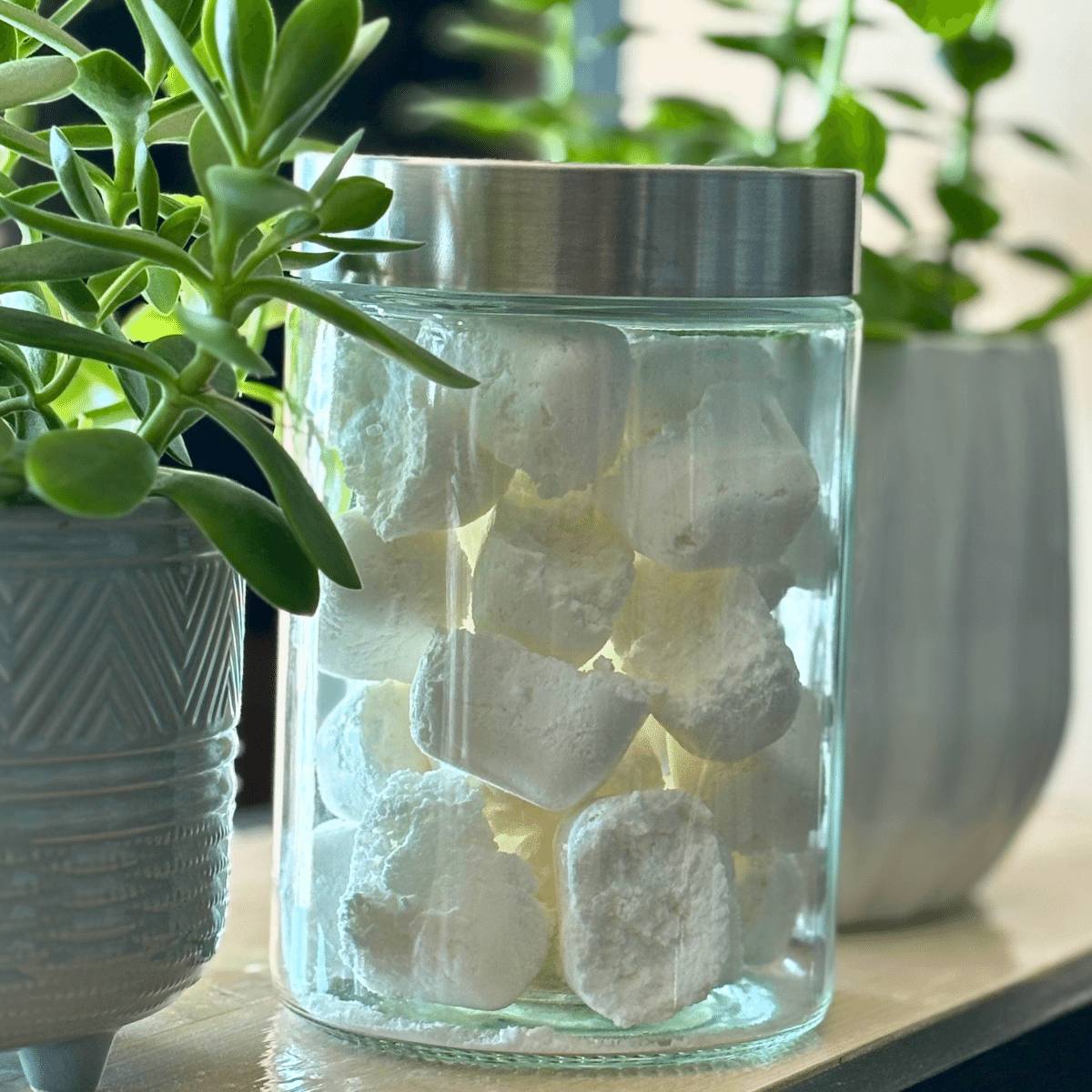 19 DIY Dishwasher Detergent Pods  Image