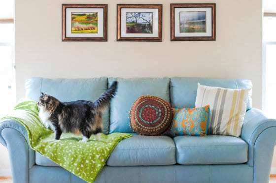 27 Homemade Fabric Refresher Recipes Image