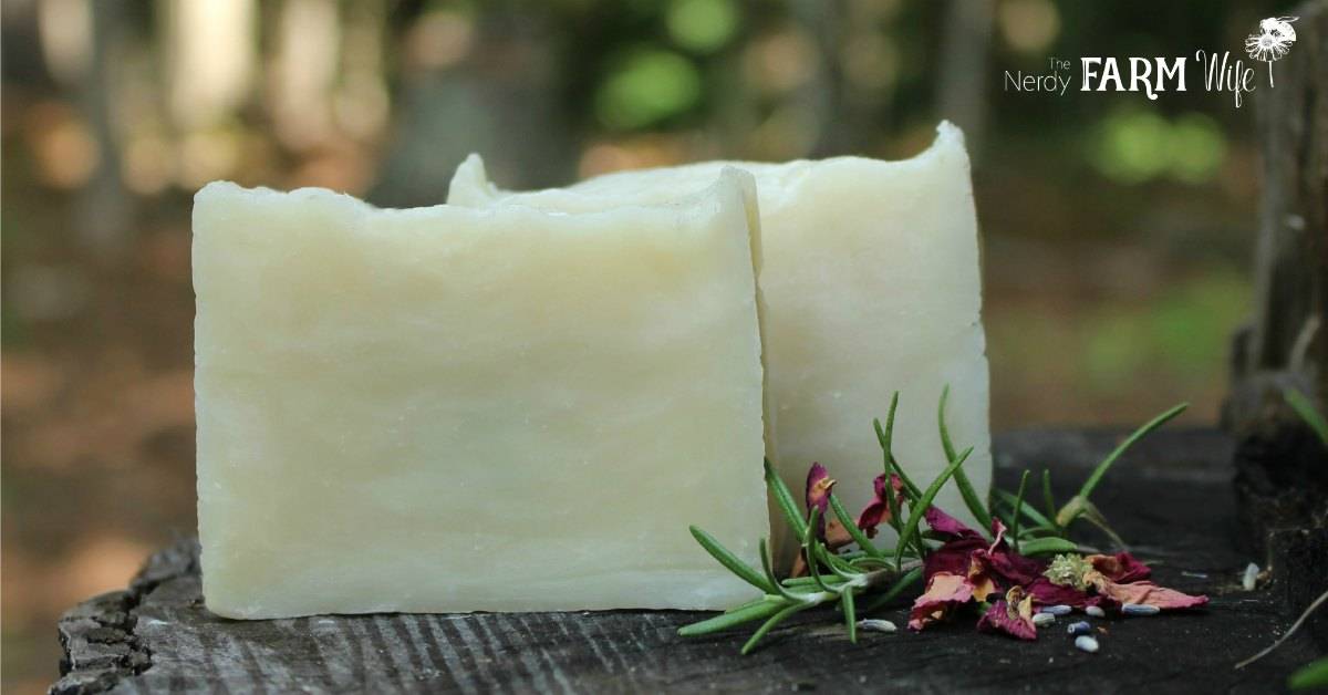 9 Rosemary Shampoo Recipes Image