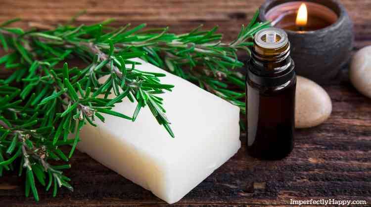 9 Rosemary Shampoo Recipes Image