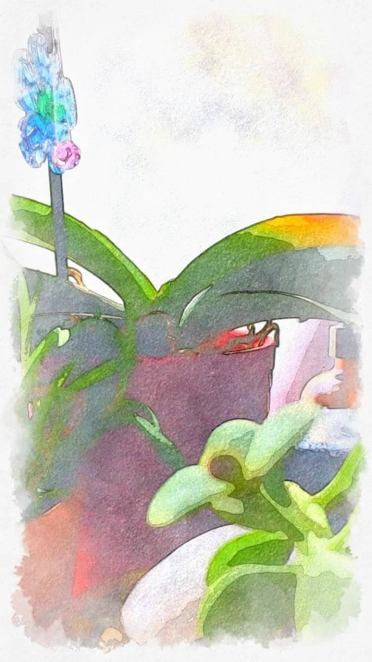 29 Linen Spray Recipes Image