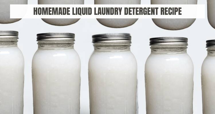 22 Castile Soap Laundry Detergent Recipes  Image
