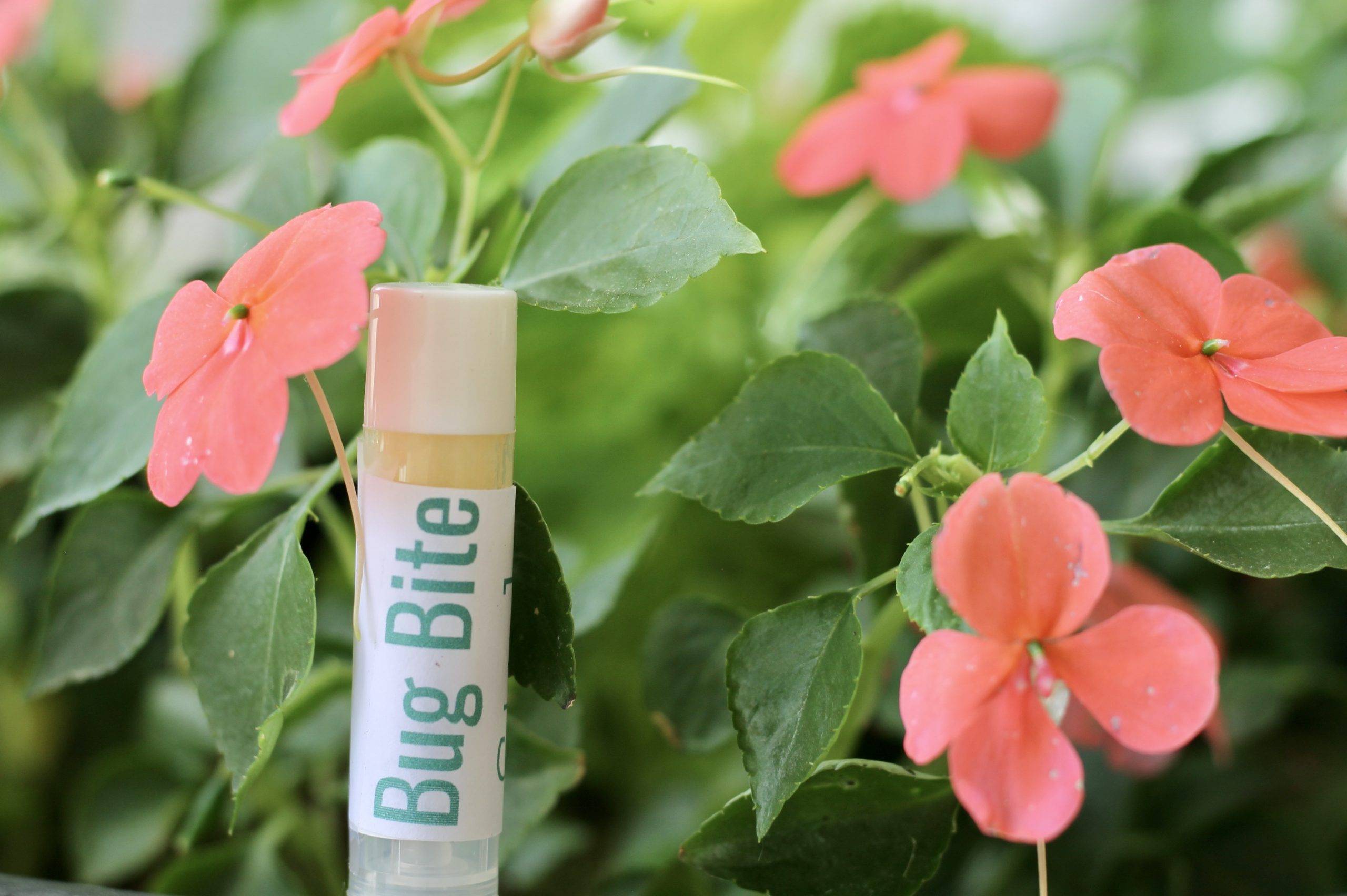 18 DIY Anti Itch Cream Recipes Image