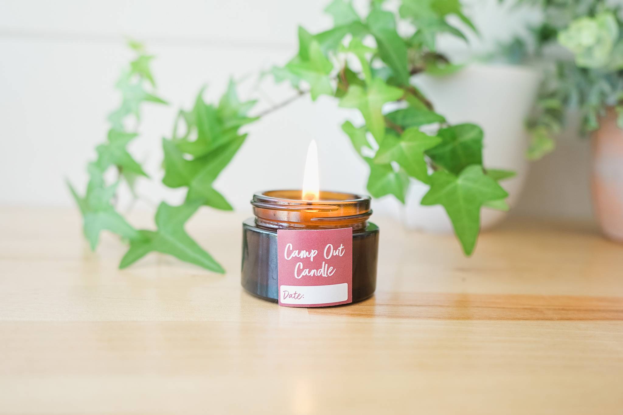 31 Mason Jar Bug Repellent Recipes Image