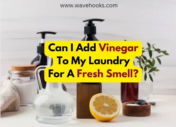 29 Vinegar Laundry Detergent Recipes  Image