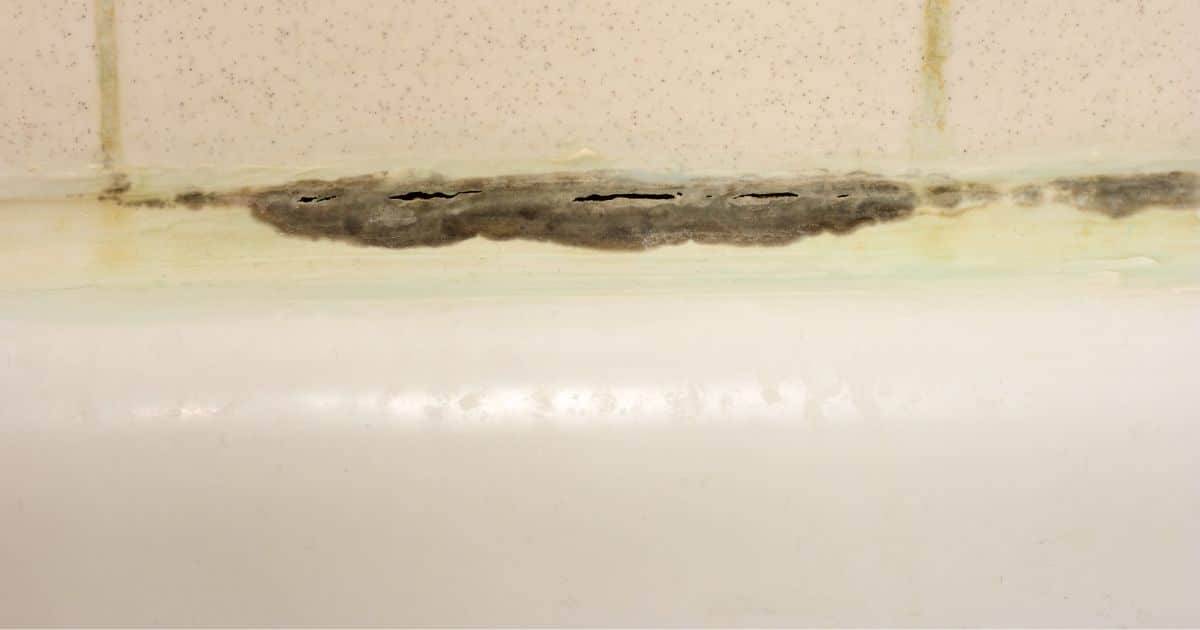 13 Mold Spray Recipes Image