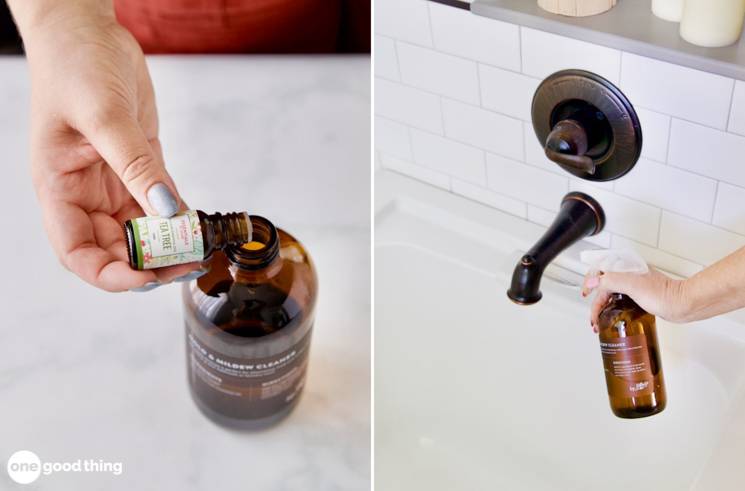 13 Mold Spray Recipes Image