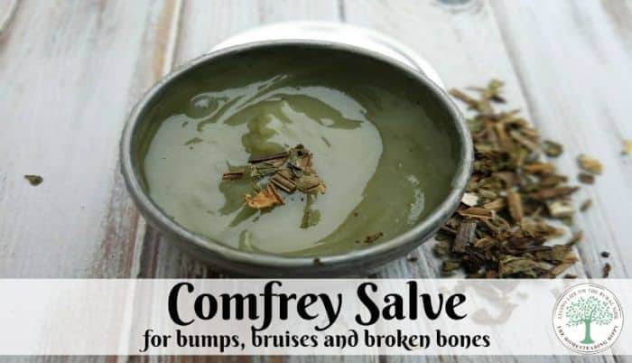 24 Comfrey Salve Recipes Image