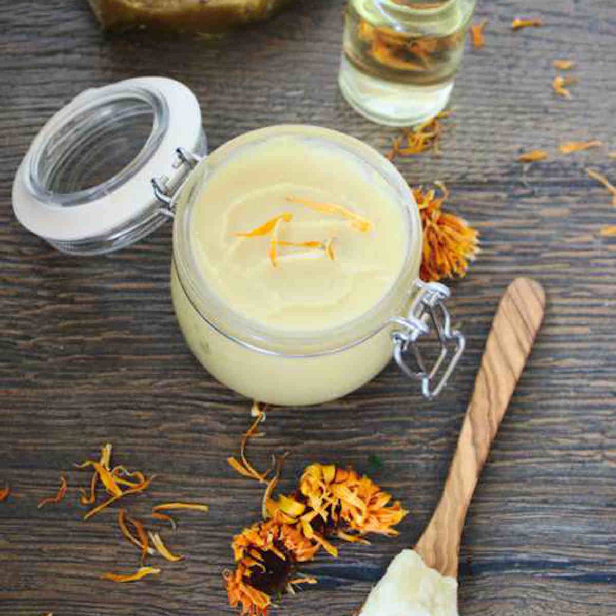 29 Sage Salve Recipes Image