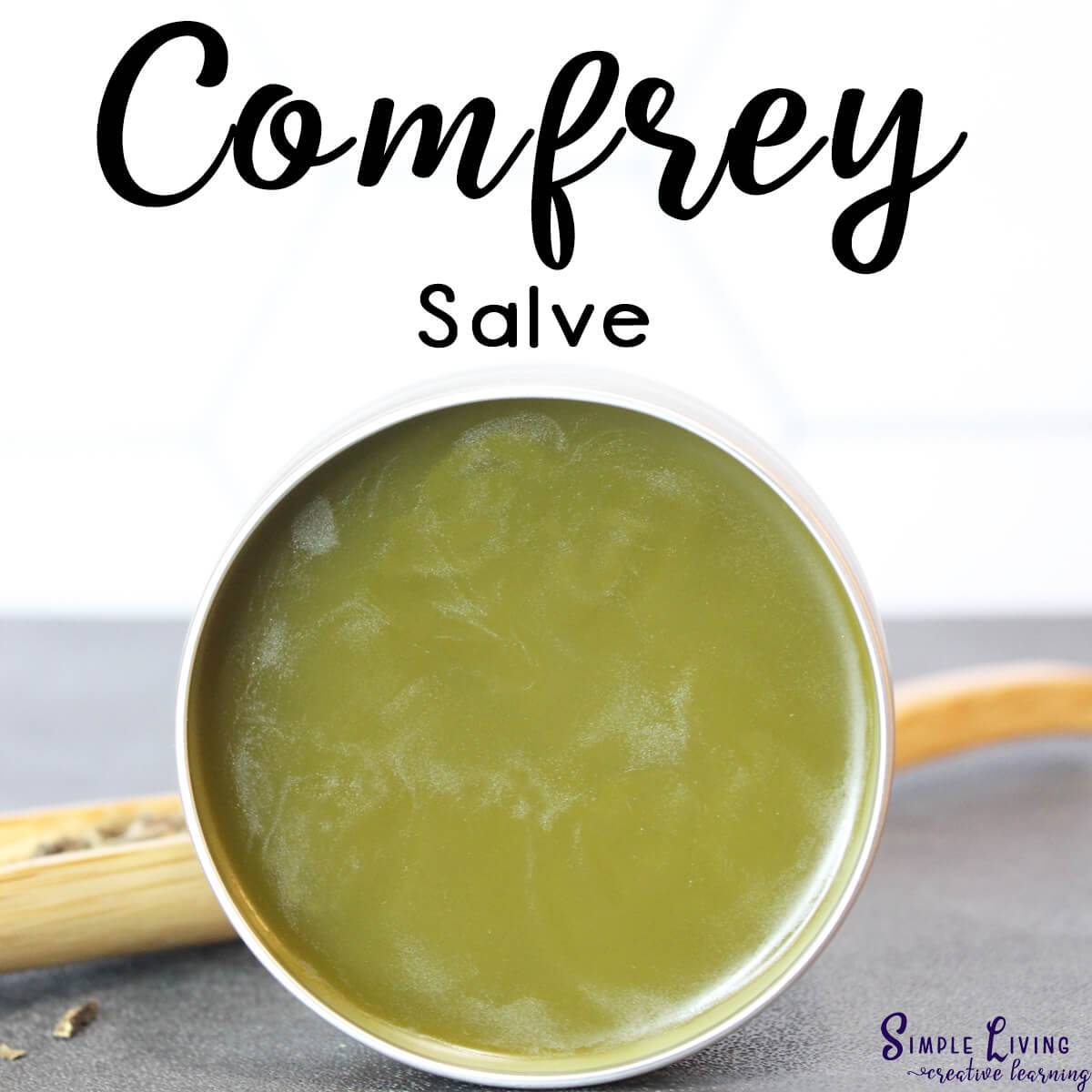 24 Comfrey Salve Recipes Image