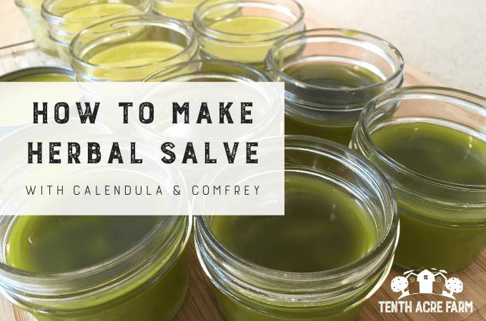 24 Comfrey Salve Recipes Image