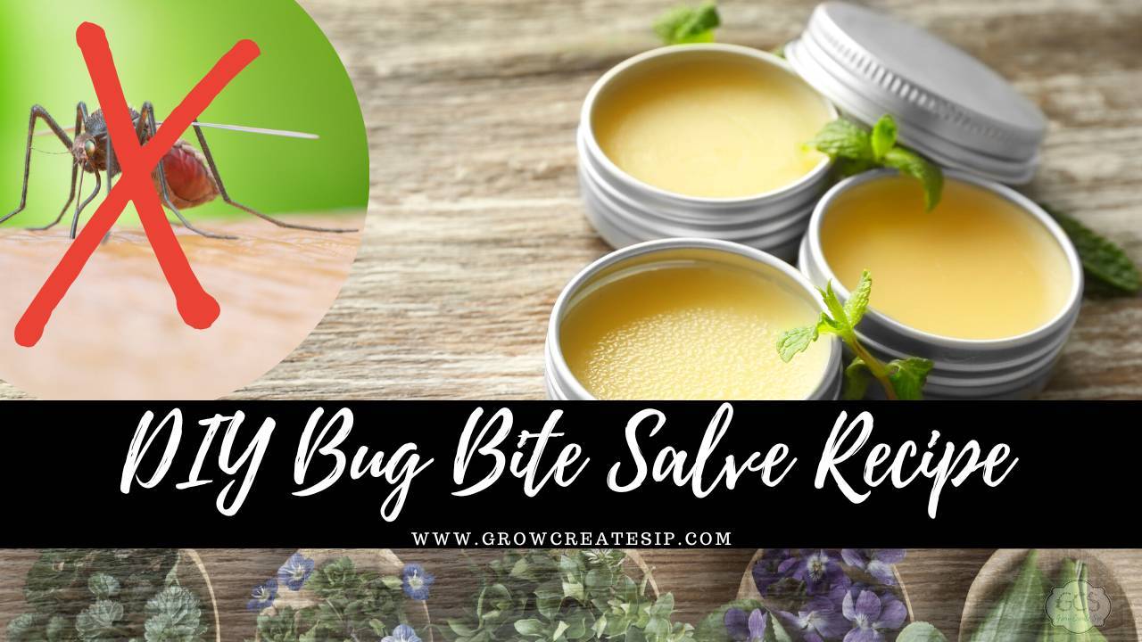 4 Tea Tree Salve Recipes Image