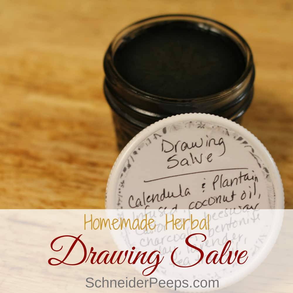 14 Amish Black Drawing Salve Recipes Image