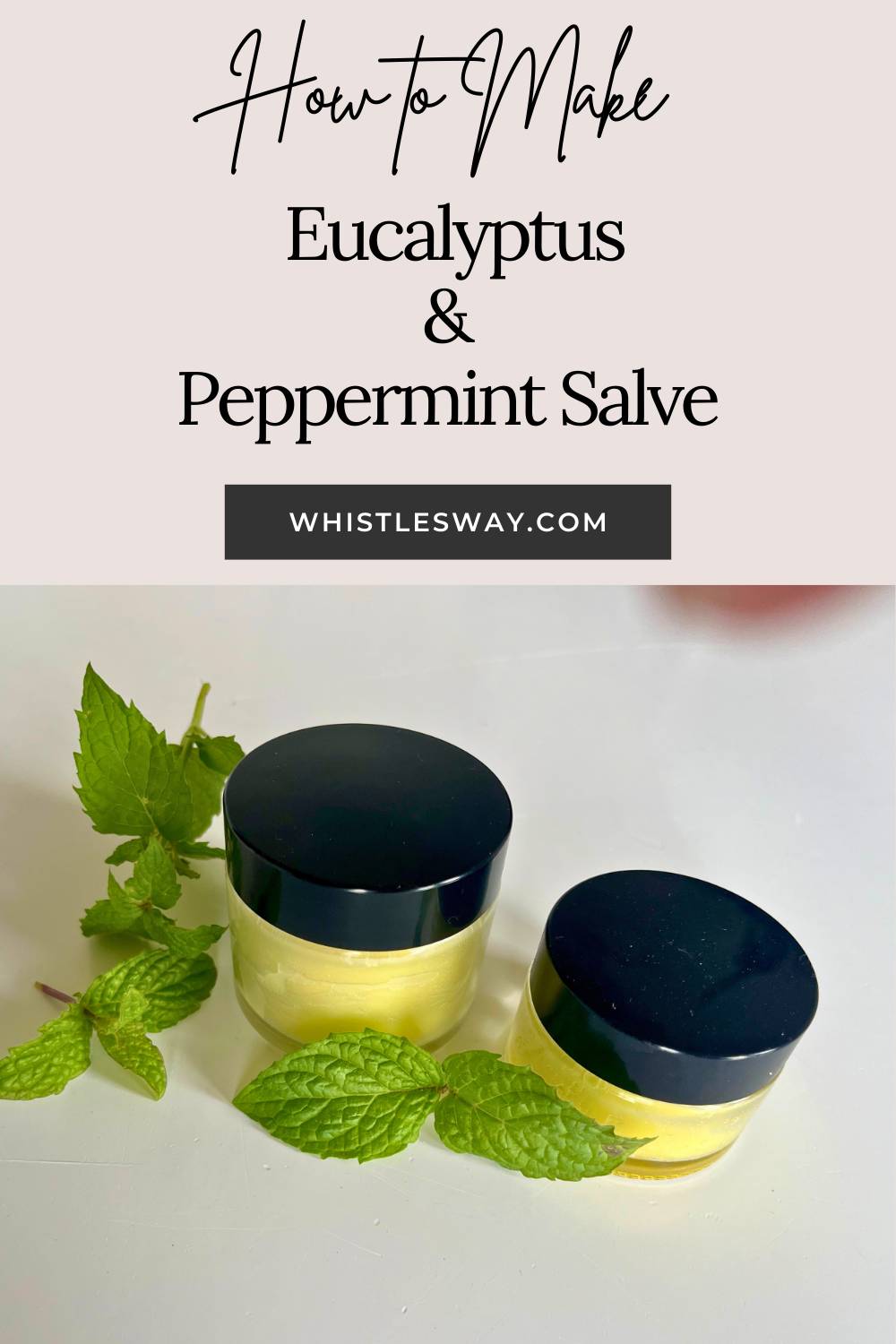 29 Sage Salve Recipes Image