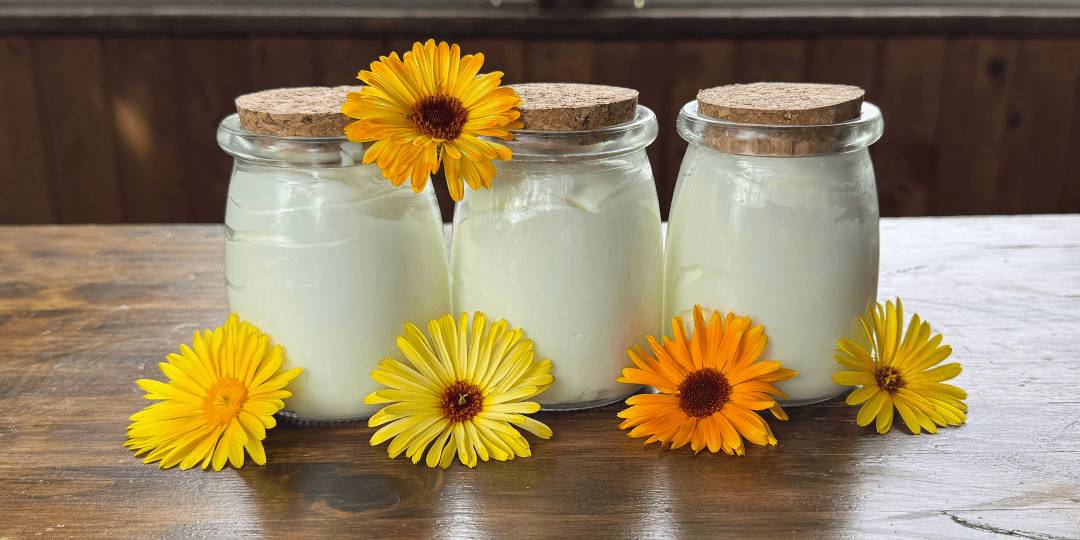 36 Tallow and Castor Oil Lotion Recipes Image