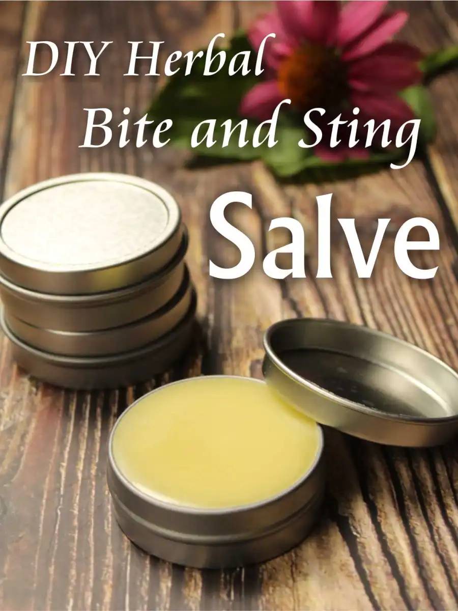29 Sage Salve Recipes Image