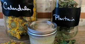 29 Sage Salve Recipes Image