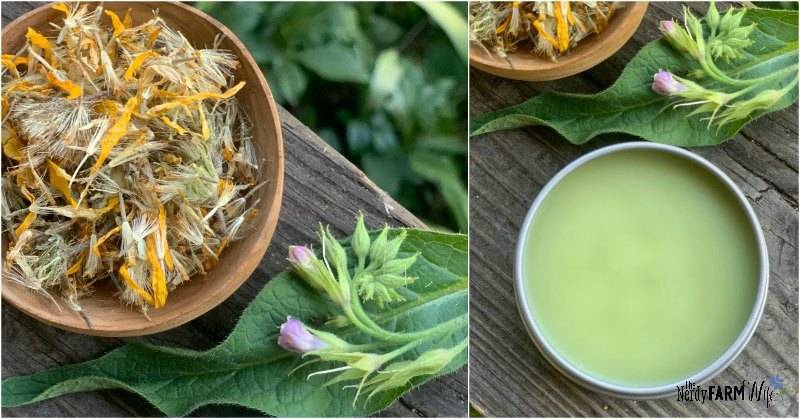 22 Rosehip Salve Recipes Image