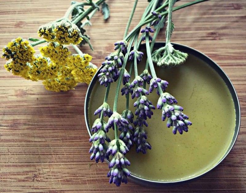 29 Sage Salve Recipes Image