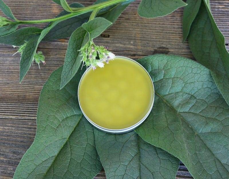 24 Comfrey Salve Recipes Image