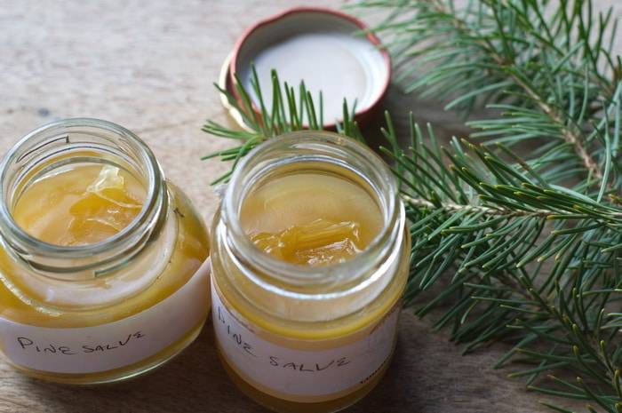 14 Pine Tar Salve Recipes Image