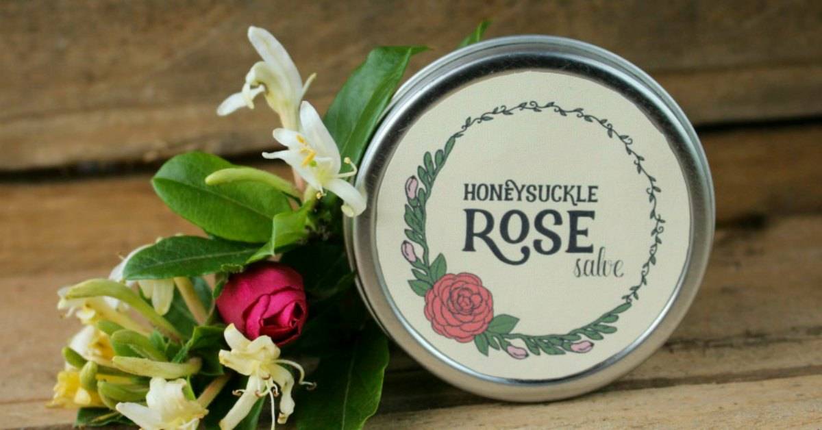22 Rosehip Salve Recipes Image