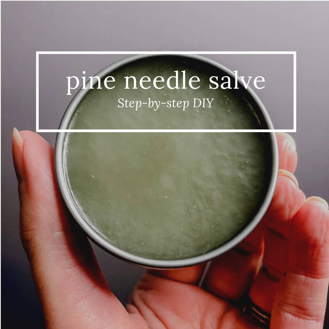 14 Pine Tar Salve Recipes Image