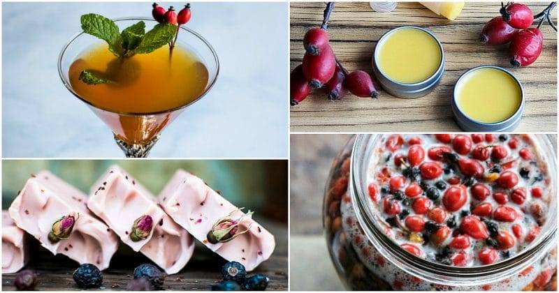 22 Rosehip Salve Recipes Image