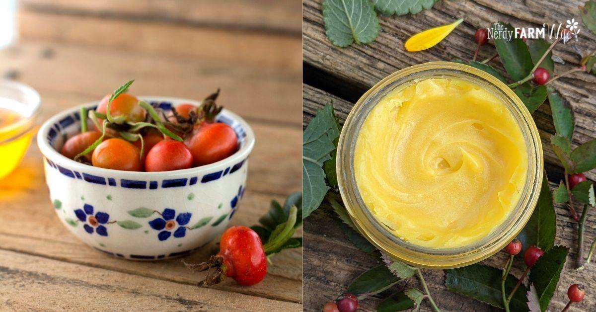 22 Rosehip Salve Recipes Image